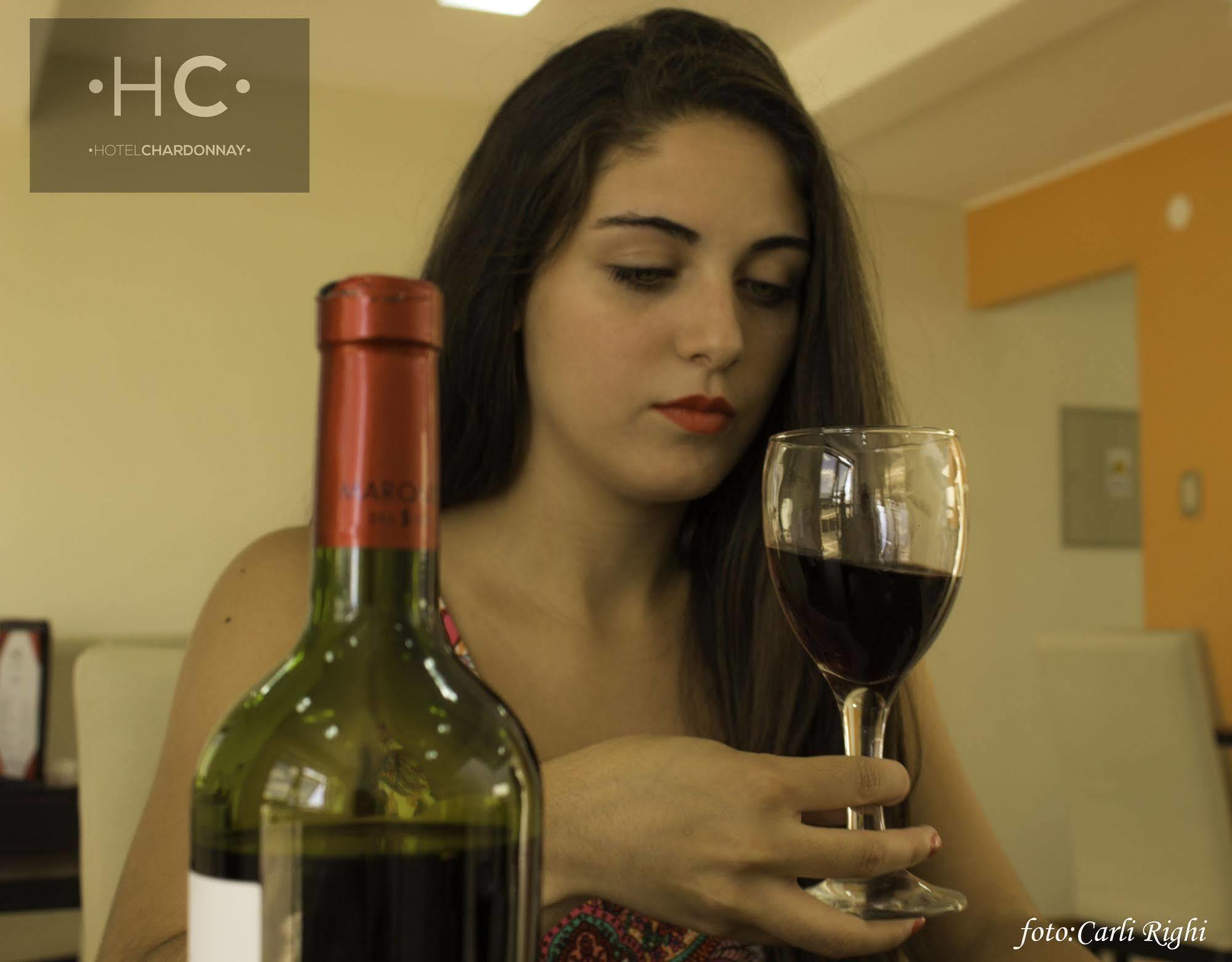 Hotel Chardonnay Tupungato Dış mekan fotoğraf